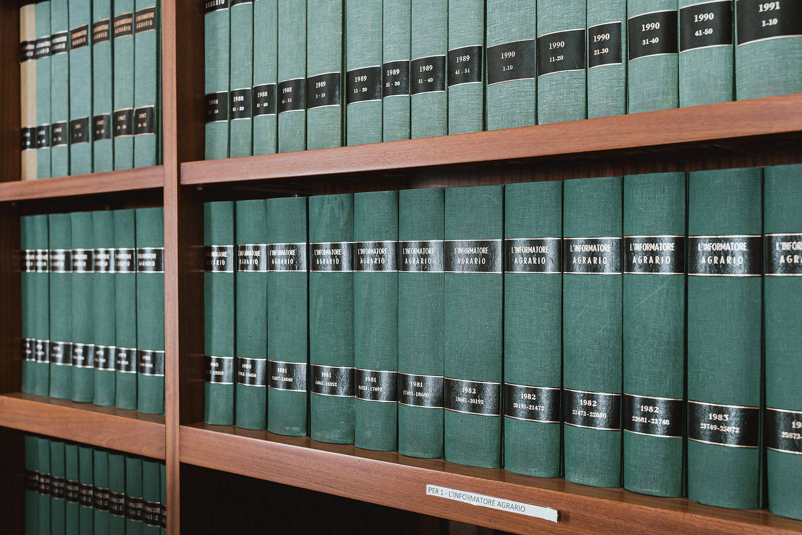 La Biblioteca Alberto Rizzotti