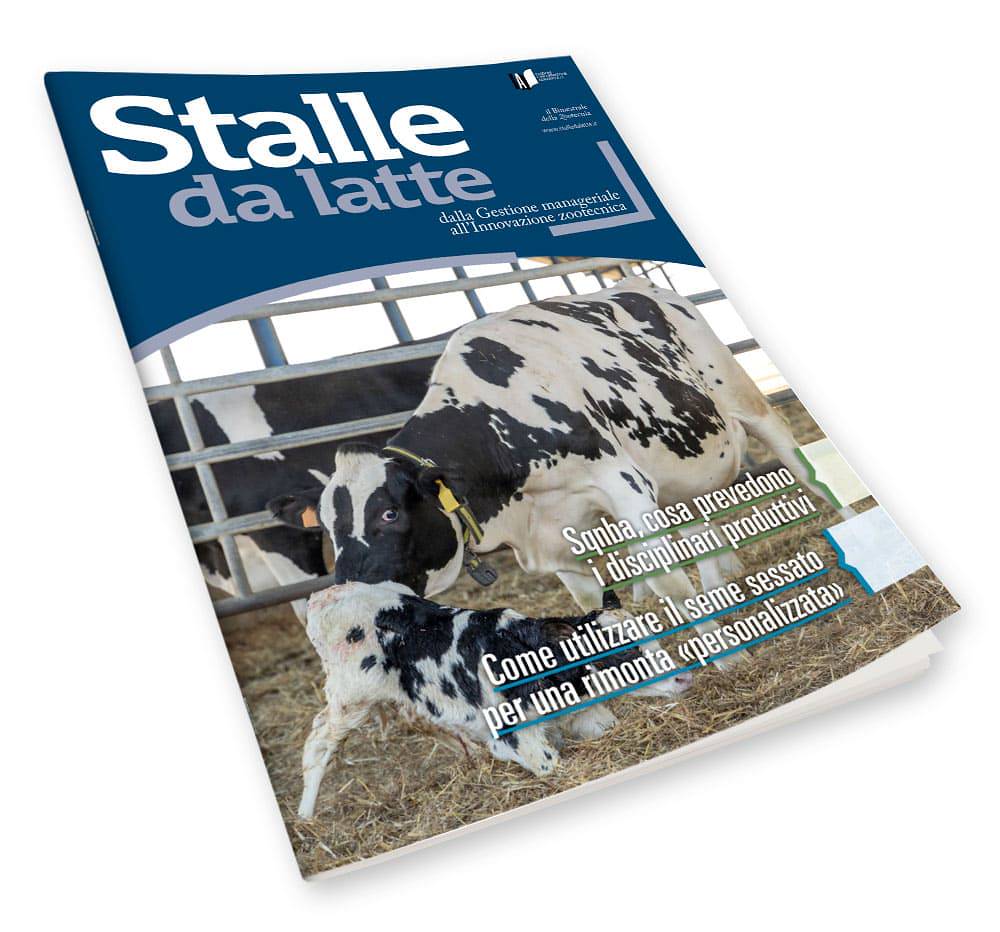 Stalle da latte