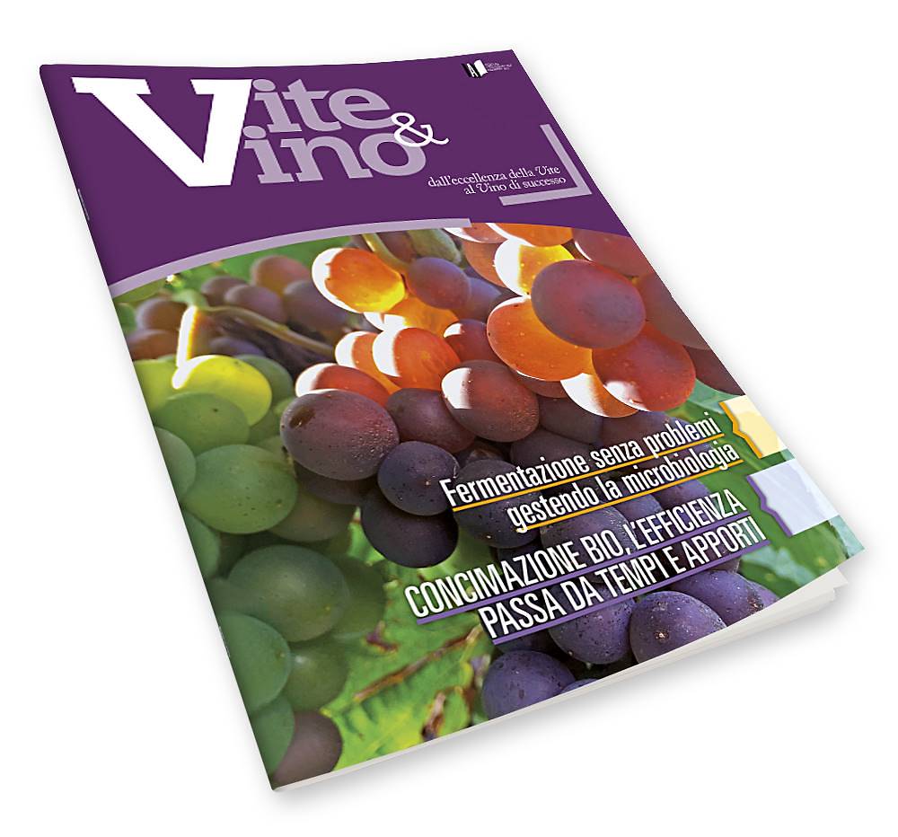 Vite&Vino