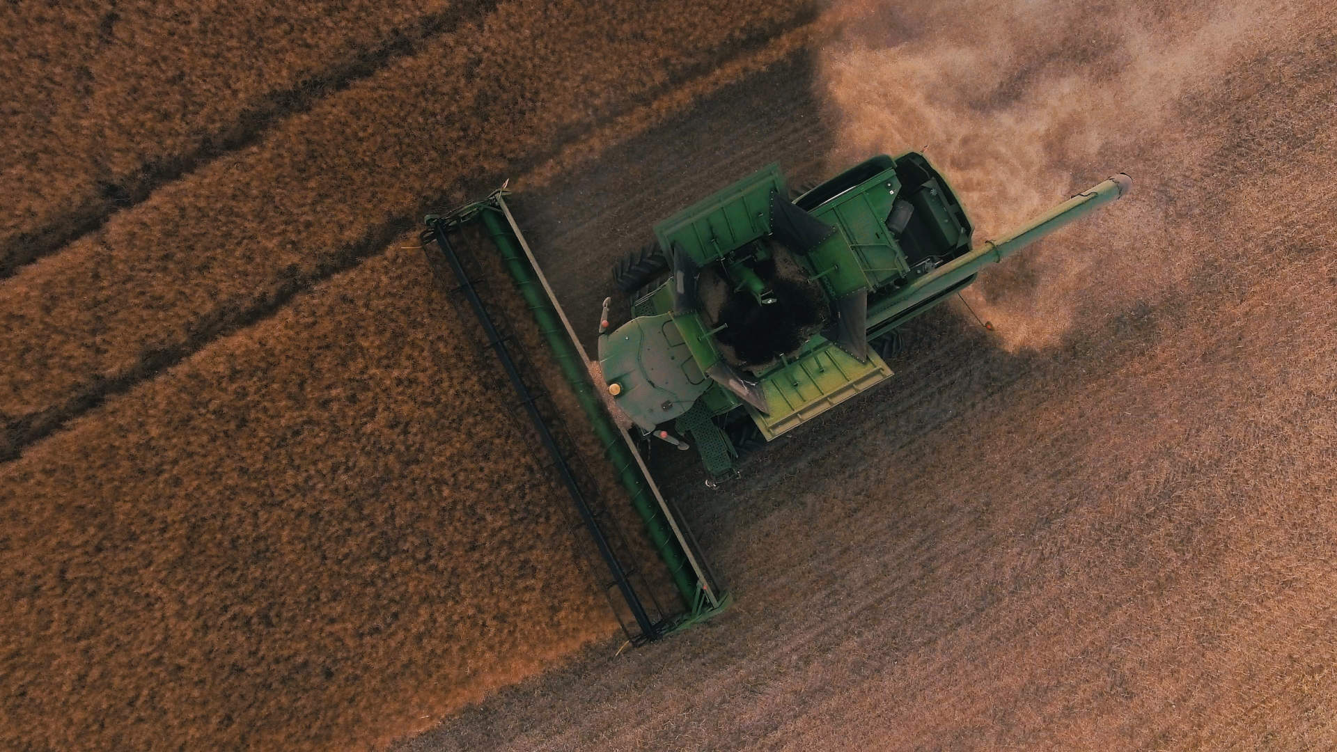 Parlare di agricoltura ci viene naturale 