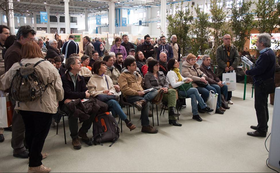 Formazione specializzata: online e offline